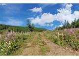 75160 Lost Creek Rd - Photo 22