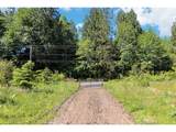 75160 Lost Creek Rd - Photo 6