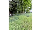 1 Lothlorien - Photo 6
