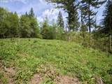 140 Skinner Rd - Photo 21