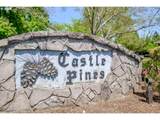 732 Castle Pines Dr - Photo 41