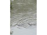 856 Scottsburg West Rd - Photo 47