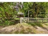 2128 Starveout Creek Rd - Photo 20
