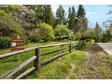 2128 Starveout Creek Rd - Photo 24