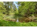 2128 Starveout Creek Rd - Photo 25