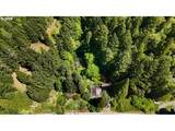 2128 Starveout Creek Rd - Photo 28