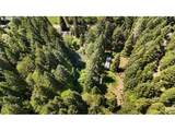 2128 Starveout Creek Rd - Photo 29