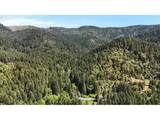 2128 Starveout Creek Rd - Photo 31