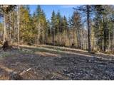 224 Durins Pl - Photo 15