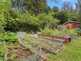 541 Park Dr - Photo 34