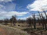 3 Trevor Rd - Photo 22