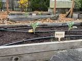 24950 Airport Rd - Photo 37