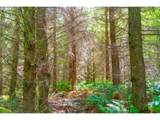 0 Mudd Ln - Photo 4