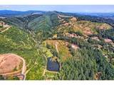 47173 Scoggins Valley Rd - Photo 31