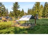 1128 Springboard Dr - Photo 34