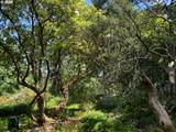  16TH Dr - Photo 12