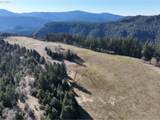 77220 Bar B L Ranch Rd - Photo 6