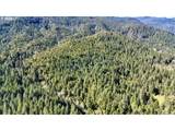0 Agness-Illahe Rd - Photo 1
