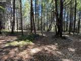 0 Agness-Illahe Rd - Photo 10