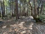 0 Agness-Illahe Rd - Photo 11