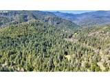 0 Agness-Illahe Rd - Photo 3