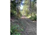 0 Agness-Illahe Rd - Photo 38