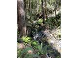 0 Agness-Illahe Rd - Photo 39