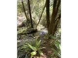 0 Agness-Illahe Rd - Photo 41