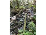 0 Agness-Illahe Rd - Photo 42