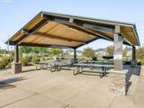 5954 73rd Ave - Photo 17