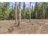 239 Durins Pl - Photo 8