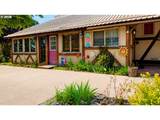 223 Goldenpine - Photo 19