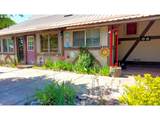223 Goldenpine - Photo 6