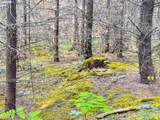  Kimball Rd - Photo 13