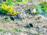  Kimball Rd - Photo 42