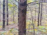  Kimball Rd - Photo 9