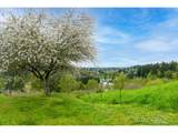 351 Butte Hill Rd - Photo 39