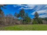 21542 Highway 126 - Photo 15