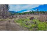 21542 Highway 126 - Photo 16