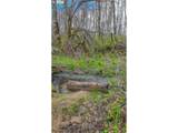 21542 Highway 126 - Photo 17