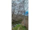 21542 Highway 126 - Photo 18