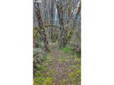 21542 Highway 126 - Photo 19