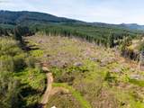 21542 Highway 126 - Photo 28