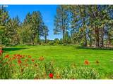 64464 Collins Rd - Photo 44
