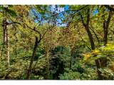 16 Canby St - Photo 33