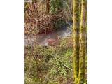 16 Canby St - Photo 43