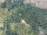 24977 Sturtevant Dr - Photo 45