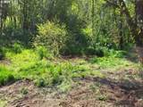 0 Salmon River Hwy - Photo 1