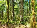 0 Salmon River Hwy - Photo 11