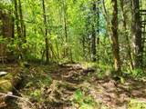 0 Salmon River Hwy - Photo 12